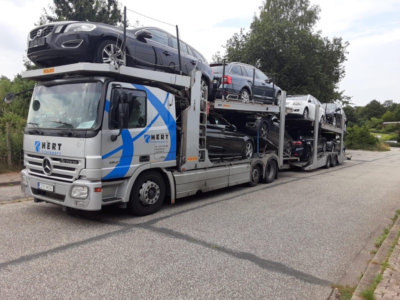 Hert tegevus